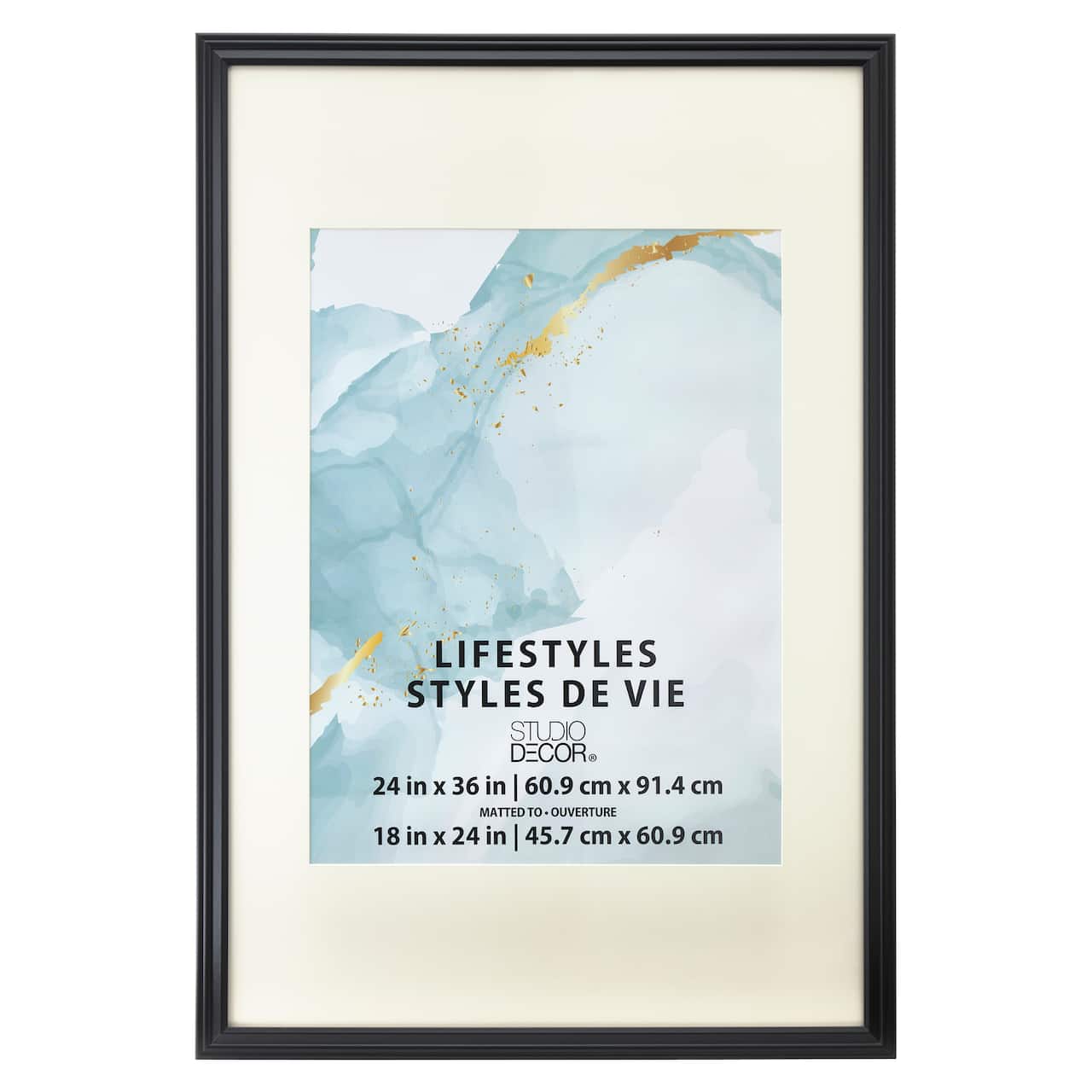 Lifestyles™ Black Large Frame with Mat by Studio Décor®